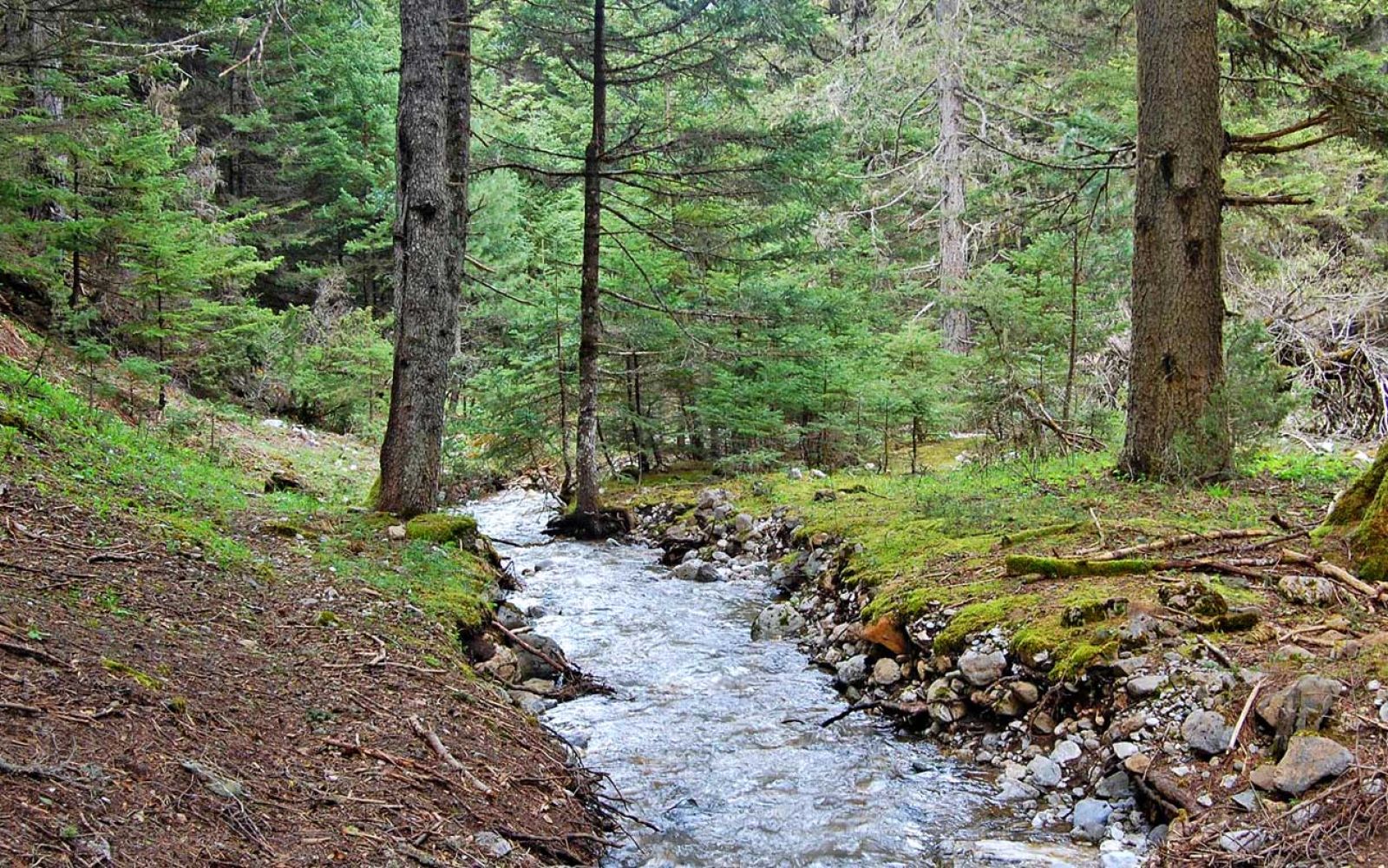 Valley of Flampouritsa